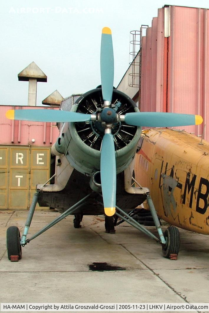 HA-MAM, 1984 PZL-Mielec An-2R C/N 1G208-44, Kaposújlak airport (LHKV) Hungary - Correction, szervjointing meanwhile.