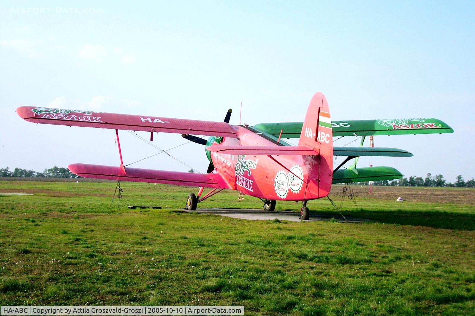 HA-ABC, 1989 PZL-Mielec An-2TD C/N 1G235-20, Györszentiván-Böny Airport, Hungary - The advertisement of a Hungarian beer is his full painting.