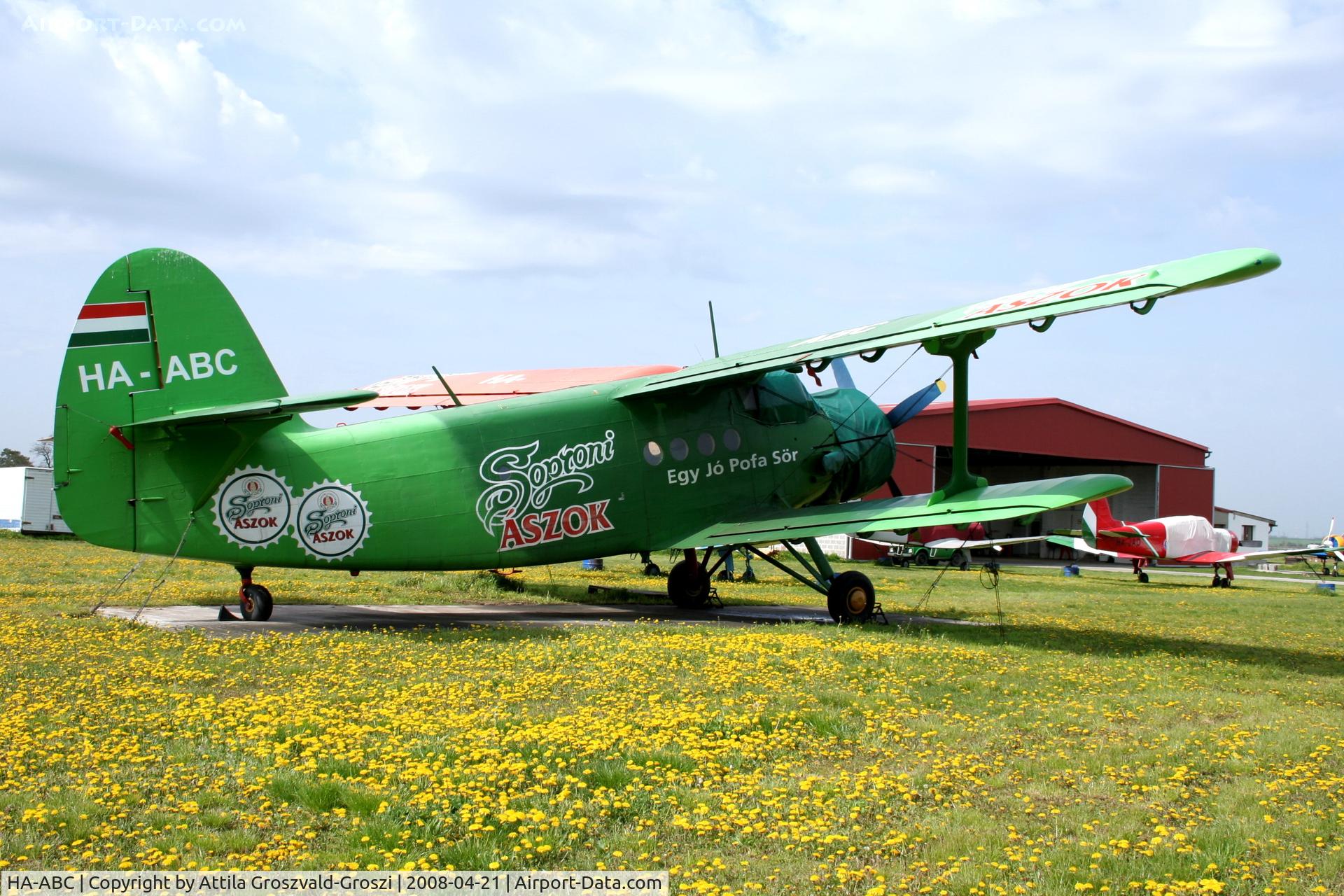 HA-ABC, 1989 PZL-Mielec An-2TD C/N 1G235-20, Györszentiván-Böny Airport, Hungary - The advertisement of a Hungarian beer is his full painting.