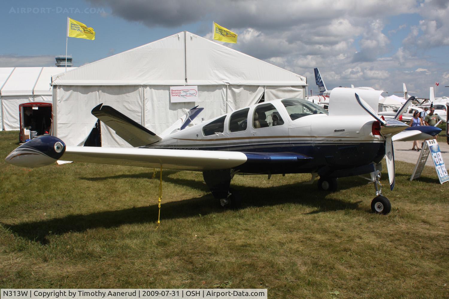 N313W, 1981 Beech V35B Bonanza C/N D-10363, 1981 Beech V35B, c/n: D-10363