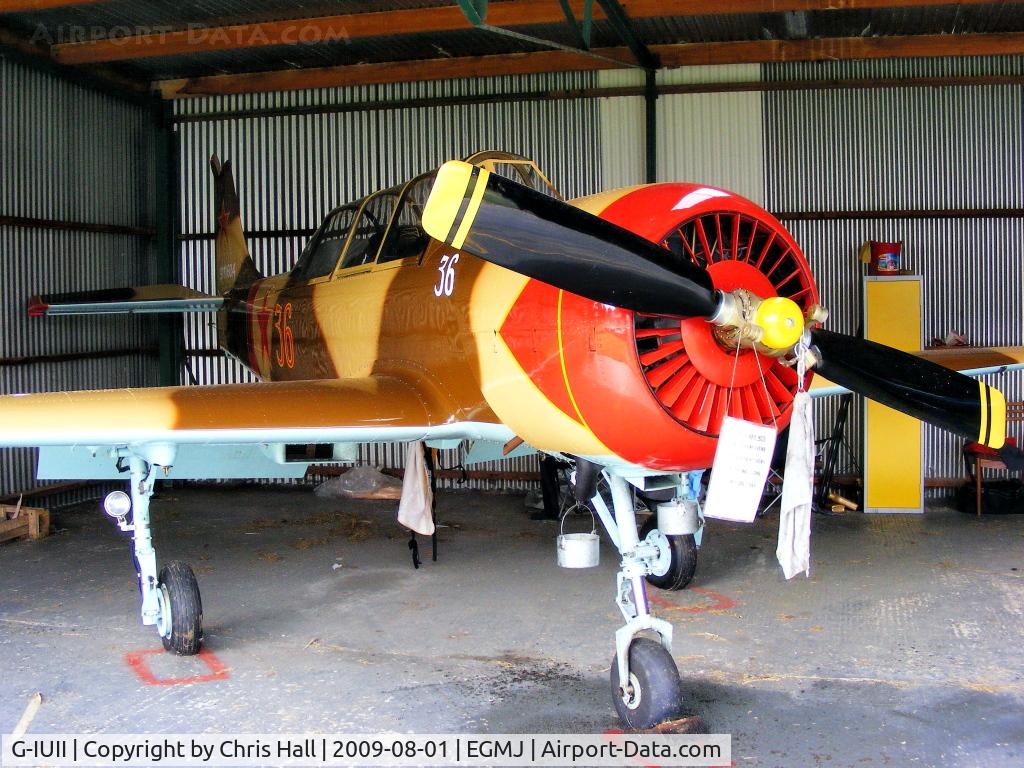G-IUII, 1991 Yakovlev (Aerostar) Yak-52 C/N 9111604, Previous ID: RA-1281K