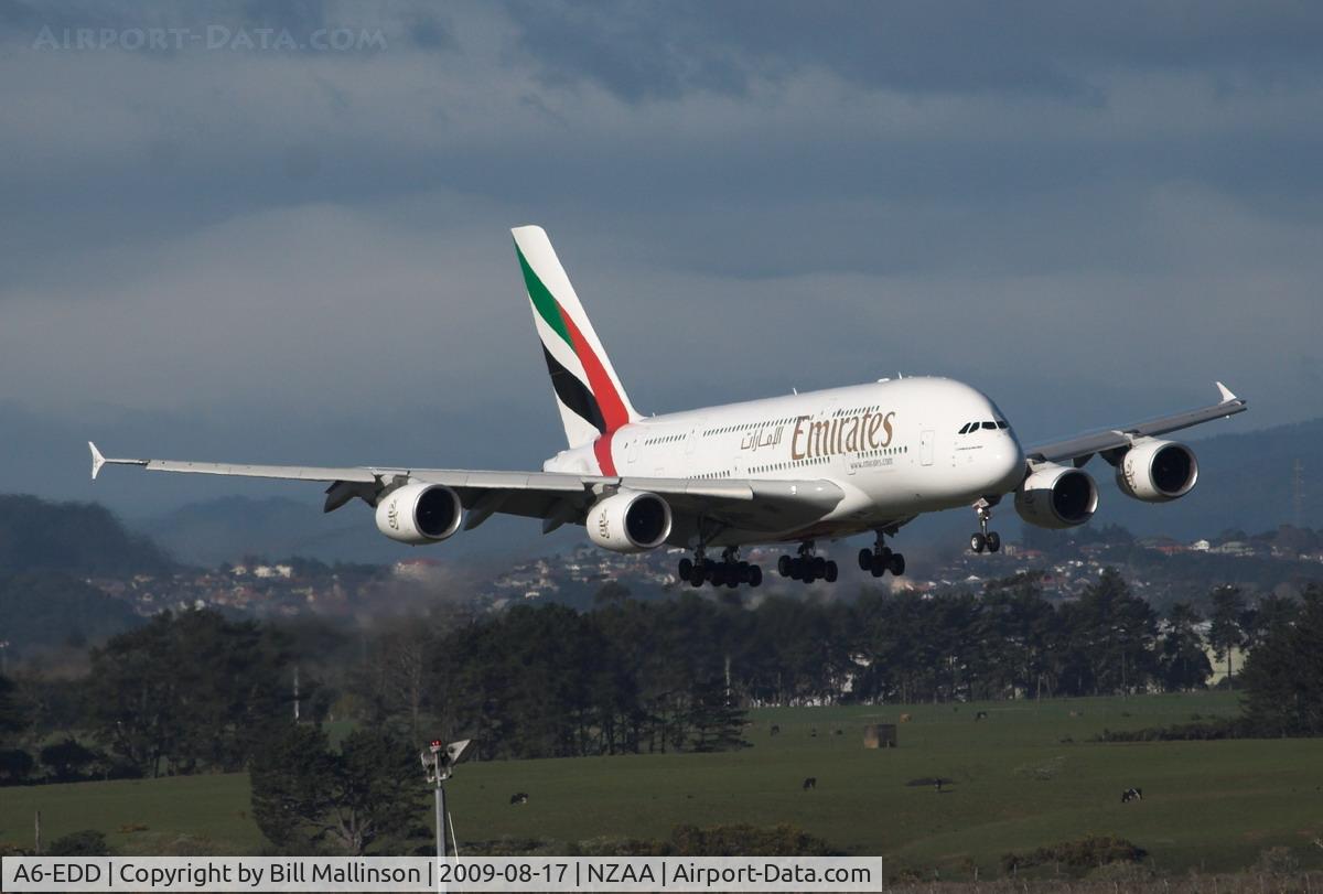 A6-EDD, 2008 Airbus A380-861 C/N 020, and the livestock took no notice !