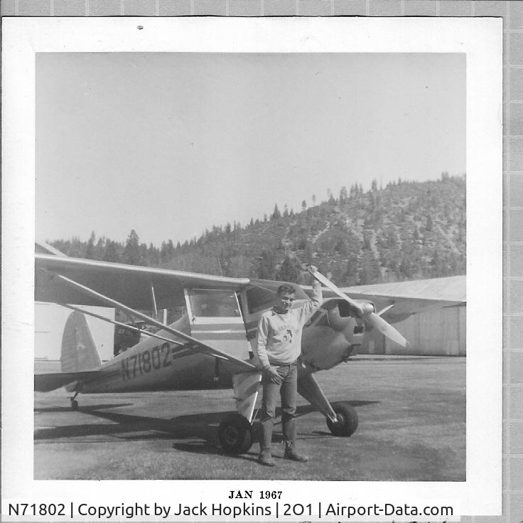 N71802, 1946 Luscombe 8A C/N 3229, Luscombe N71802 at Quincy, California