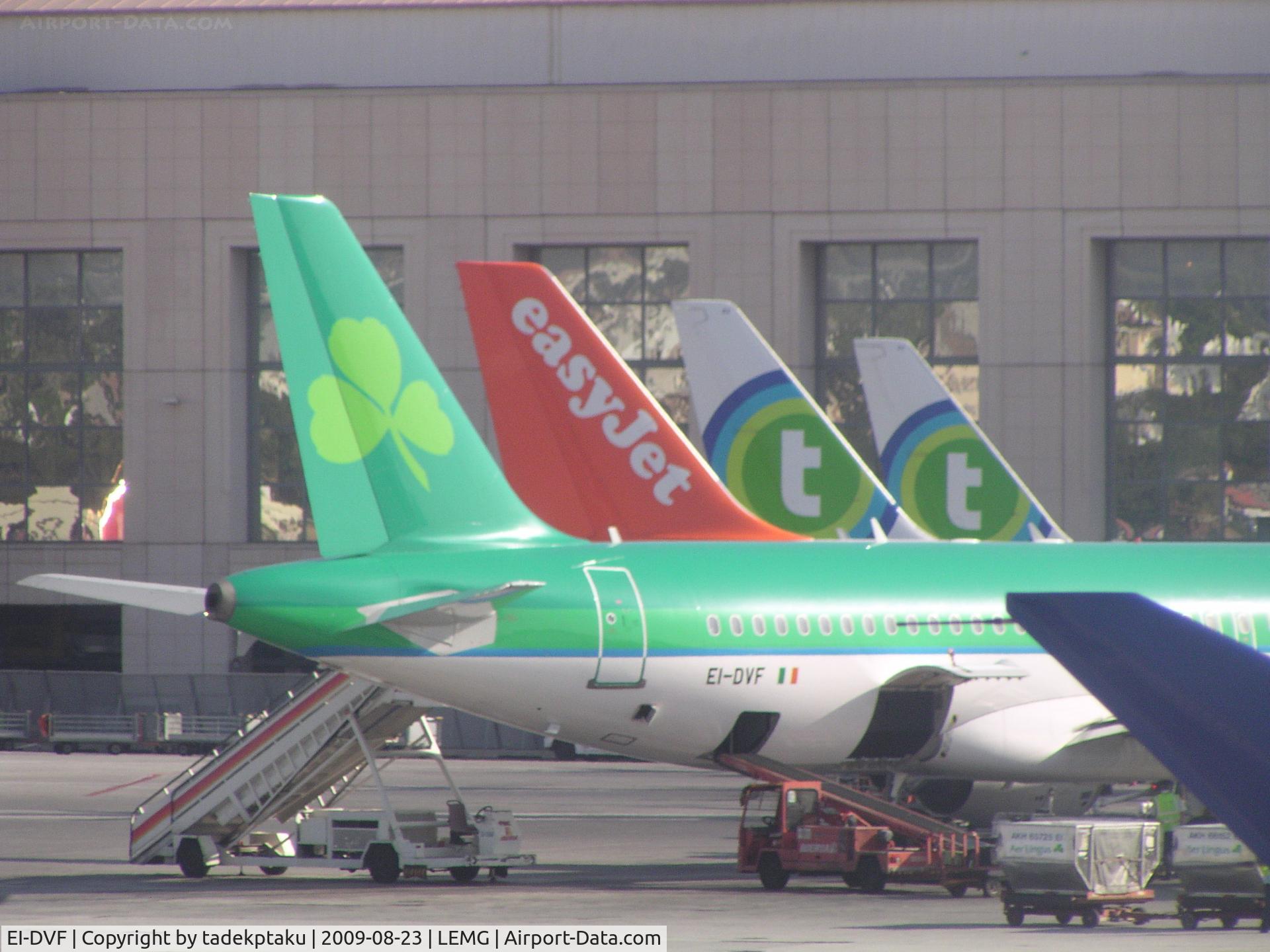 EI-DVF, 2007 Airbus A320-214 C/N 3136, Airbus tail