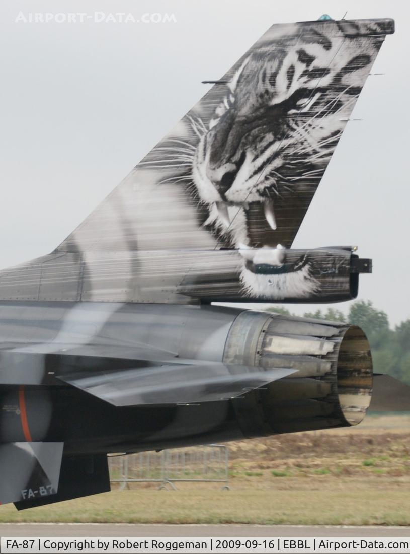 FA-87, SABCA F-16AM Fighting Falcon C/N 6H-87, Tigermeet 2009.Special colors 31 Squadron.