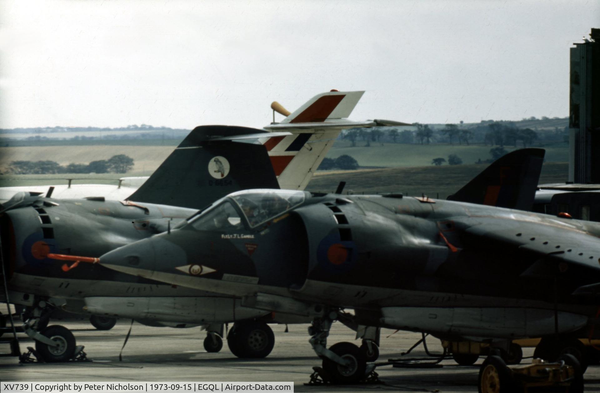 XV739, 1968 Hawker Siddeley Harrier GR.1A C/N 712002, Harrier GR.1A of 1 Squadron at the 1973 RAF Leuchars Airshow - sadly, this aircraft was lost later that month.