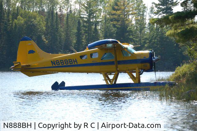 N888BH, 1951 De Havilland Canada DHC-2 Beaver Mk.I (L20A) C/N 110, Early morning in the bush