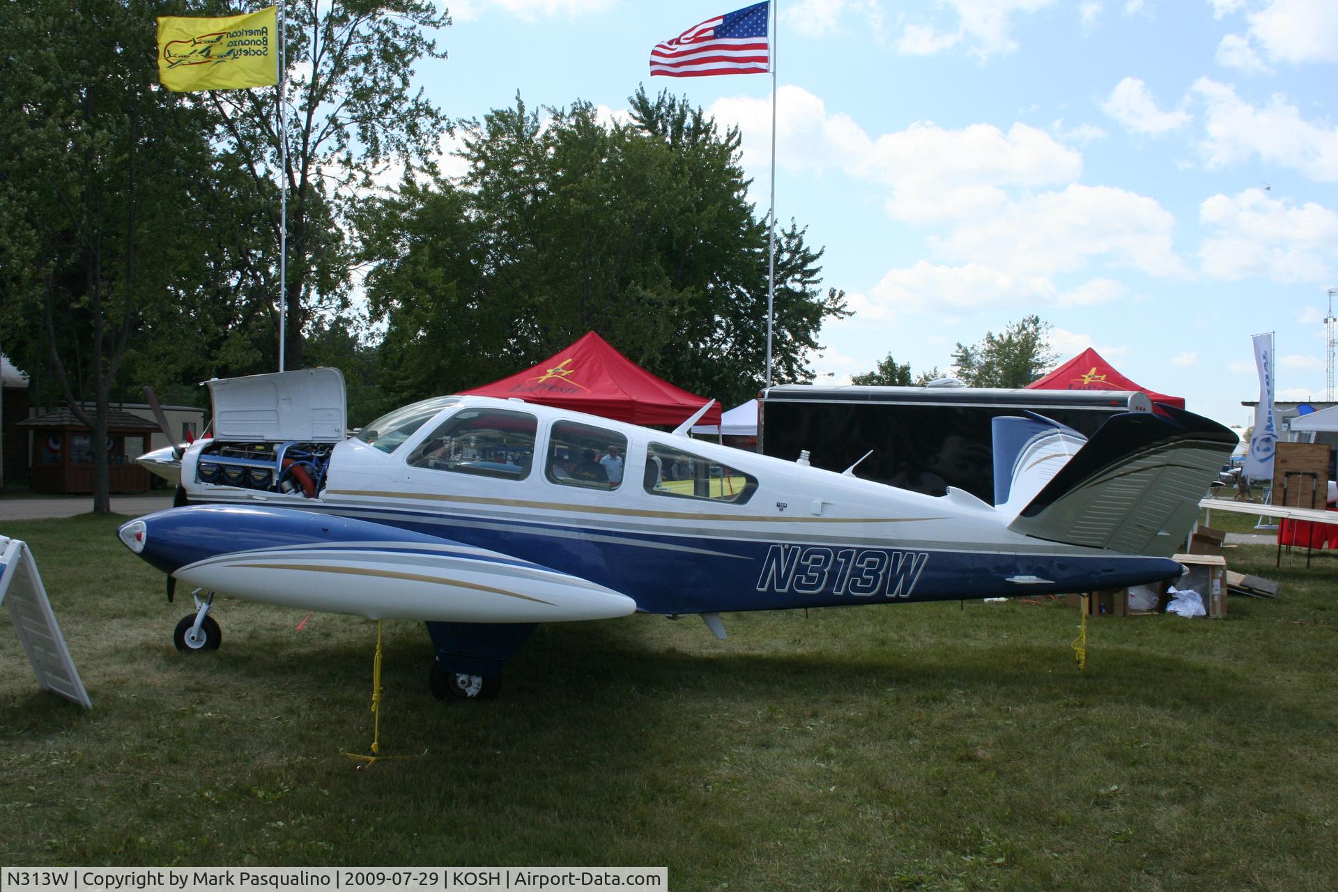 N313W, 1981 Beech V35B Bonanza C/N D-10363, Beech V35B