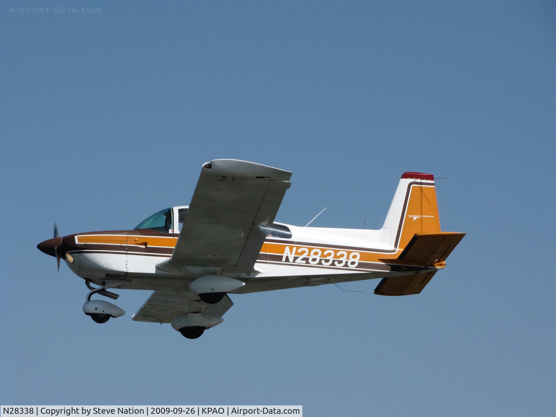 N28338, 1977 Grumman American AA-5B Tiger C/N AA5B0569, Locally-based 1977 Grumman American Avn. Corp. AA-5B on final