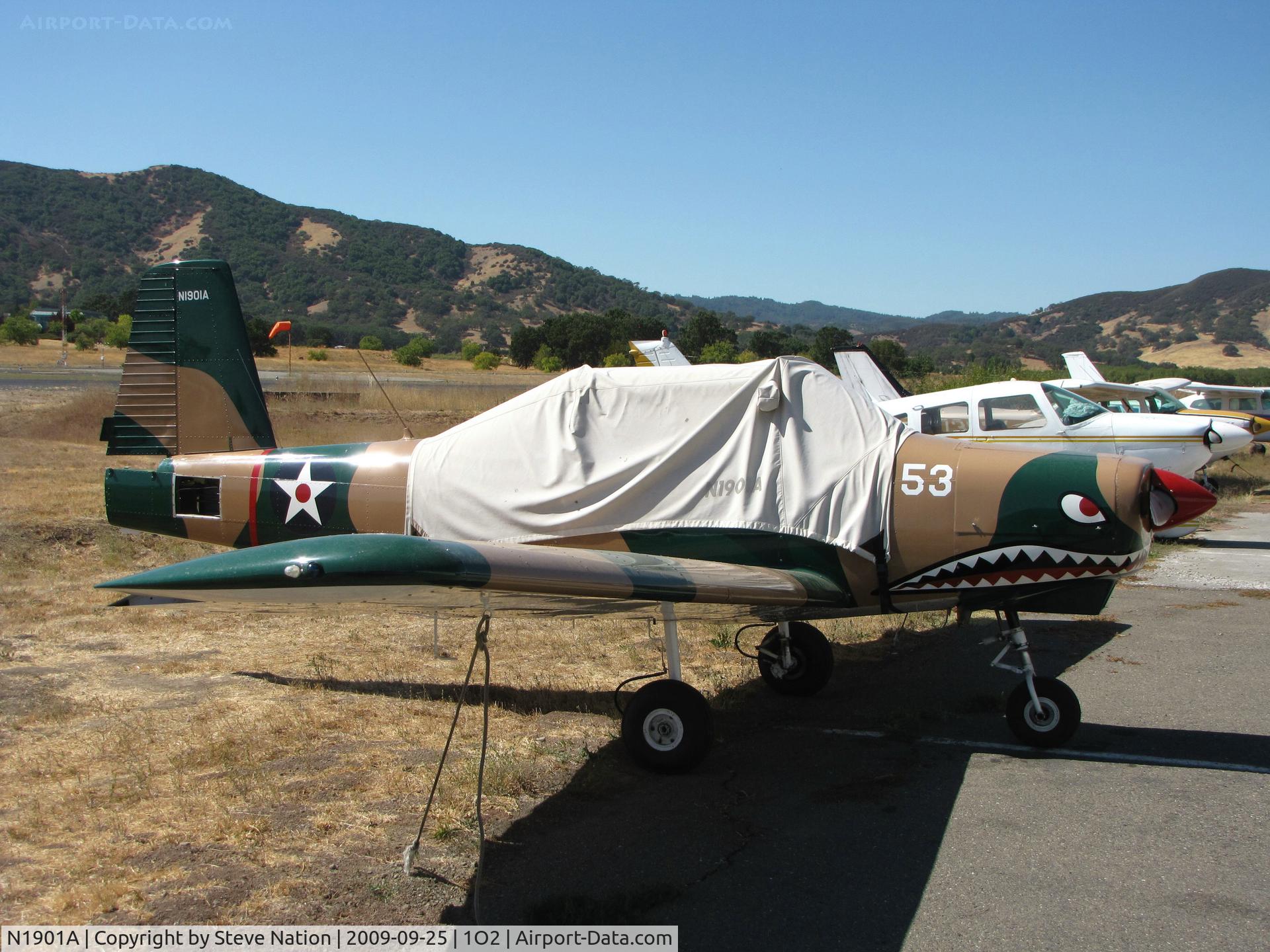 N1901A, 1977 Varga 2180 Kachina C/N VAC-81-77, Home-based 1977 Varga Aircraft Corp 2180 wanting to be a Vietnam-era warbird complete with sharkmouth