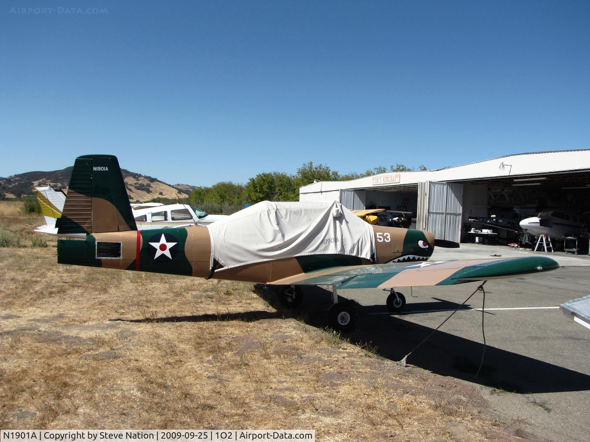 N1901A, 1977 Varga 2180 Kachina C/N VAC-81-77, Home-based 1977 Varga Aircraft Corp 2180 wanting to be a Vietnam-era warbird complete with sharkmouth