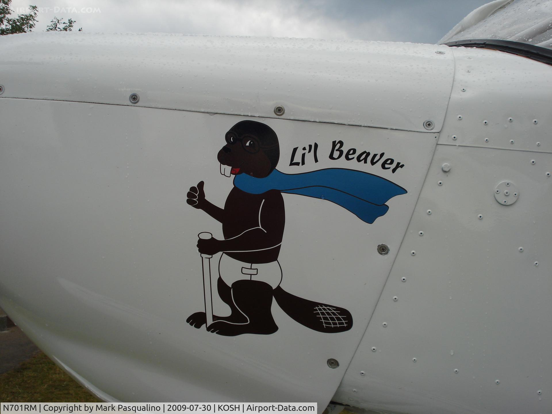 N701RM, 2007 Zenair STOL CH-701 C/N 7-6610, CH 701