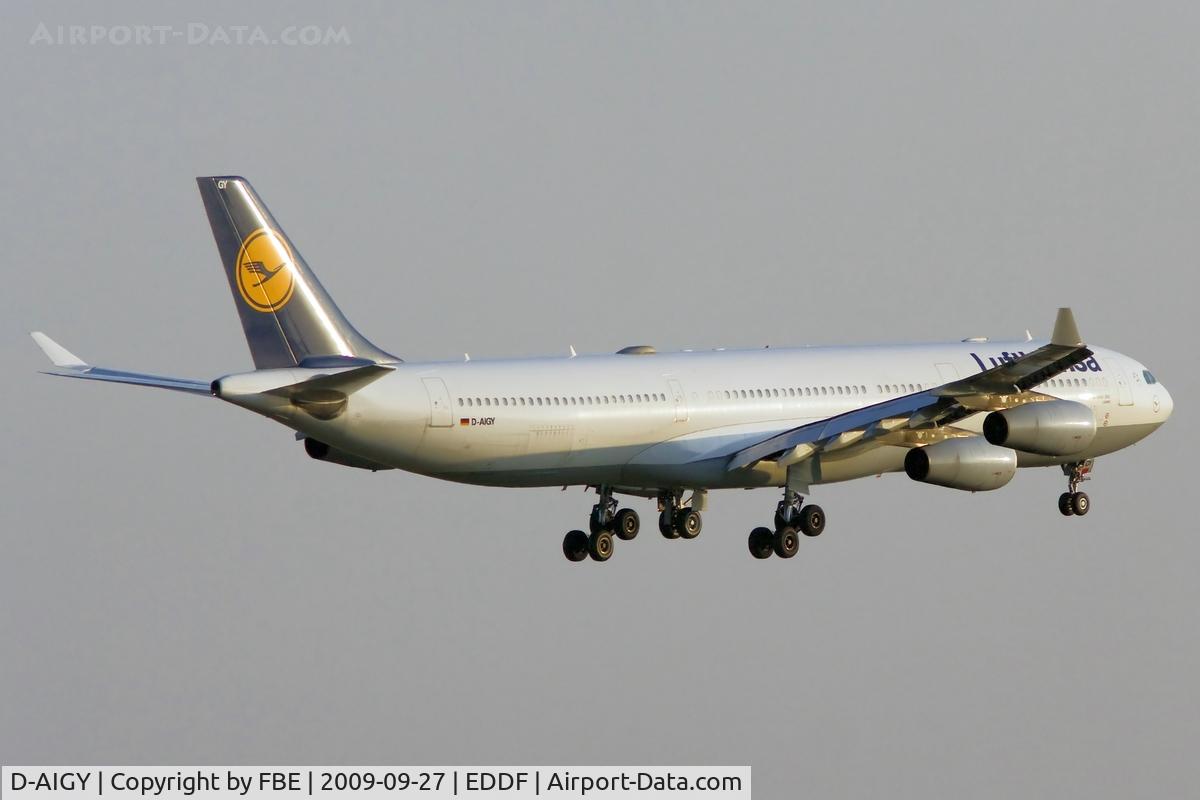 D-AIGY, 2000 Airbus A340-313 C/N 335, short final RW25R