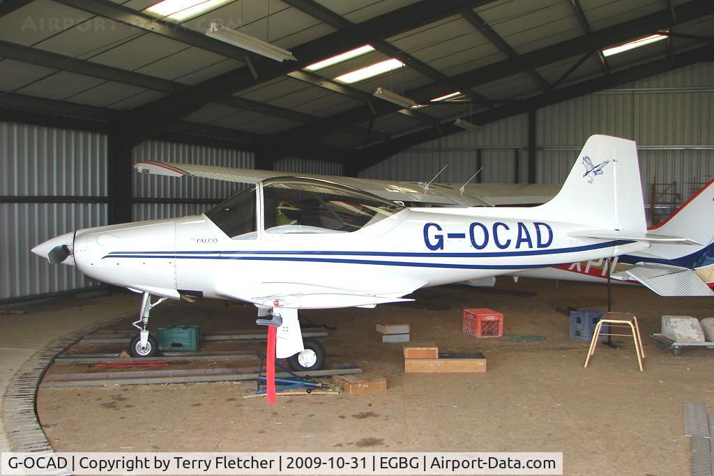 G-OCAD, 1996 Sequoia F-8L Falco C/N PFA 100-12114, Resident Falco F8L at Leicester on the All Hallows Day Fly-in