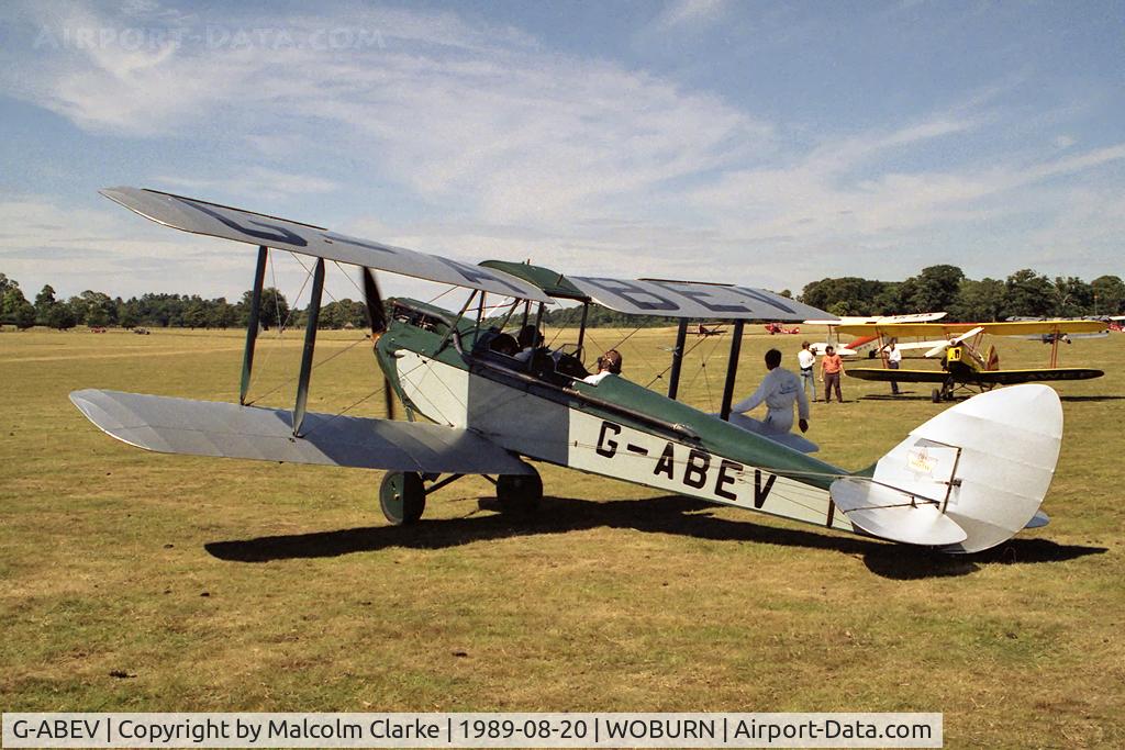 G-ABEV, 1930 De Havilland DH-60G Gypsy Moth C/N 1823, De Havilland DH-60G Gipsy Moth at the Famous Grouse DH Moth Rally 1989 held in the grounds of Woburn Abbey