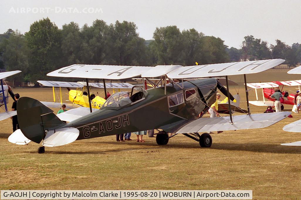 G-AOJH, 1947 De Havilland DH.83C Fox Moth C/N FM.42, De Havilland Canada DH-83C Fox Moth. At the 1995 De Havilland Moth Rally held in the grounds of Woburn Abbey.