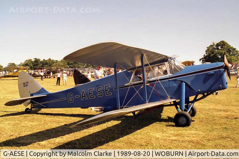 G-AESE, 1937 De Havilland DH.87B Hornet Moth C/N 8108, De Havilland DH-87B Hornet Moth at the Famous Grouse DH Moth Rally 1989 held in the grounds of Woburn Abbey, UK.