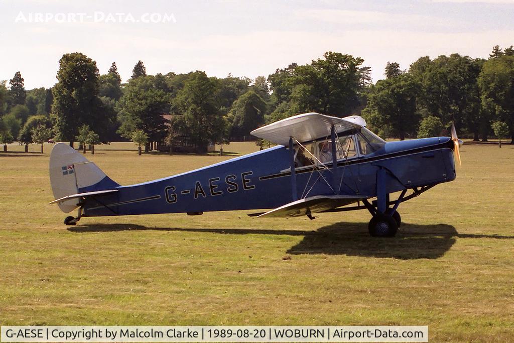 G-AESE, 1937 De Havilland DH.87B Hornet Moth C/N 8108, De Havilland DH-87B Hornet Moth at the Famous Grouse DH Moth Rally 1989 held in the grounds of Woburn Abbey, UK.