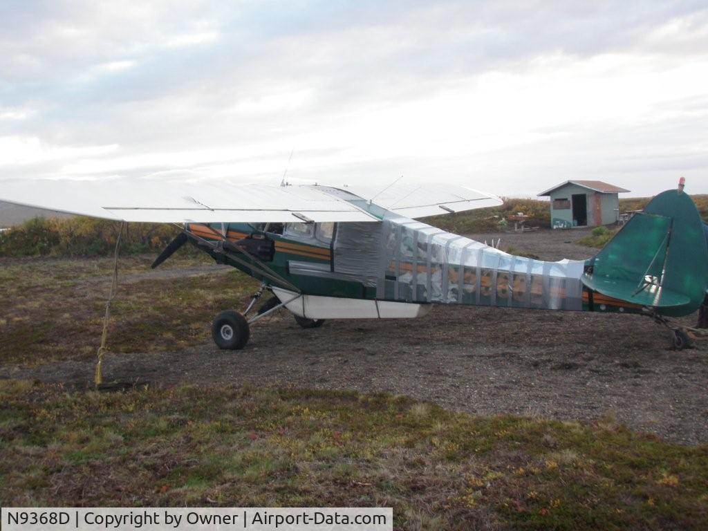 N9368D, 1958 Piper PA-18A 150 Super Cub C/N 18-6633, Aircraft repaired after Bear Attack on remote field In Alaska