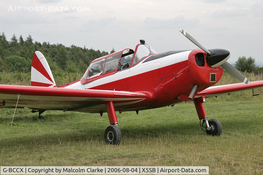 G-BCCX, 1952 De Havilland DHC-1 Chipmunk 22 (Lycoming) C/N C1/0531, De Havilland DHC-1 Chipmunk 22. Ex RAF WG481 at Sutton Bank, North Yorks, UK.