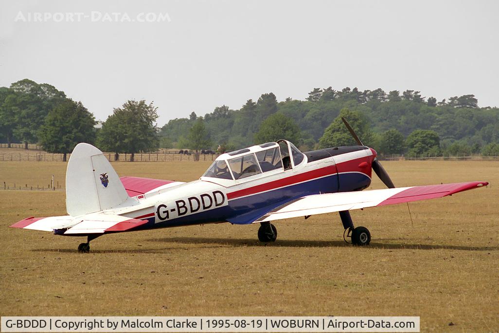 G-BDDD, 1951 De Havilland DHC-1 Chipmunk T.10 C/N C1/0326, De Havilland DHC-1 Chipmunk 22.  Formerly WD387 at the De Havilland Tiger Moth Rally held in the grounds of Woburn Abbey.