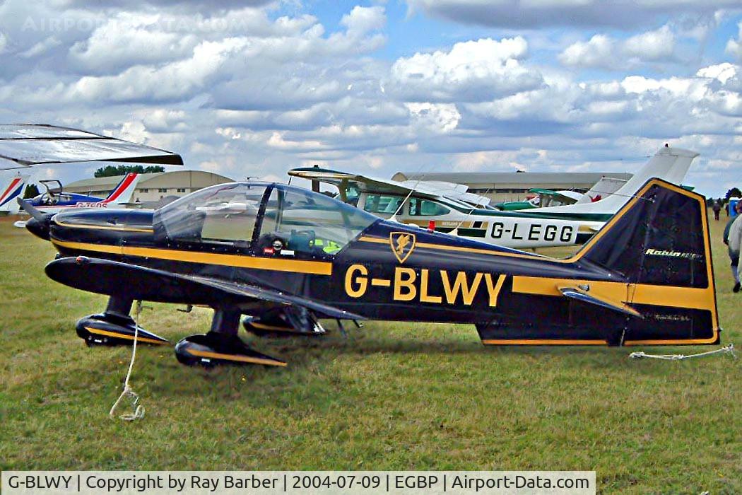 G-BLWY, 1980 Robin R-2160D Acrobin Alpha Sport C/N 176, Robin R.2160D Alpha Sport [176] Kemble~G 09/07/2004. Seen at the PFA Fly in 2004 Kemble UK.