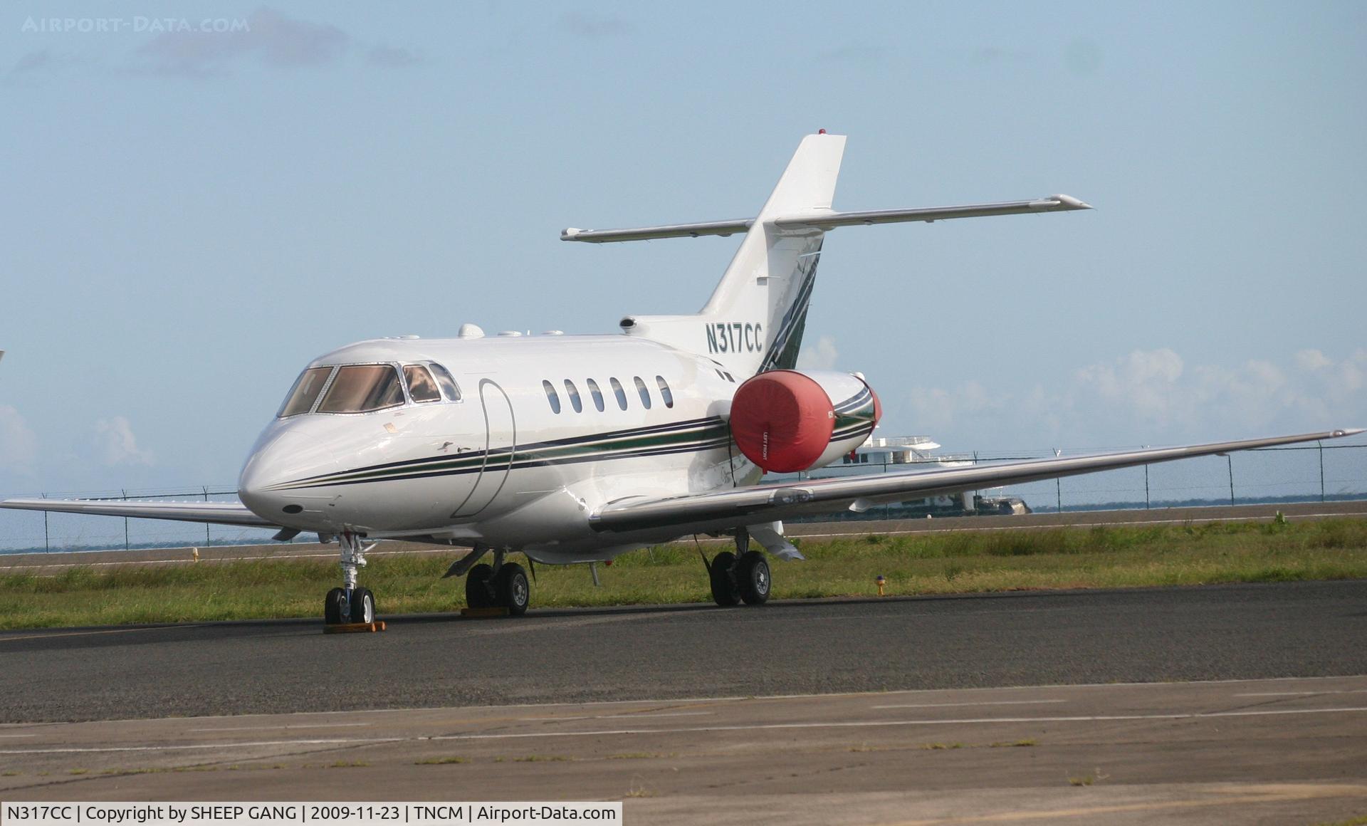 N317CC, 2001 Raytheon Hawker 800XP C/N 258532, Park at the private ramp