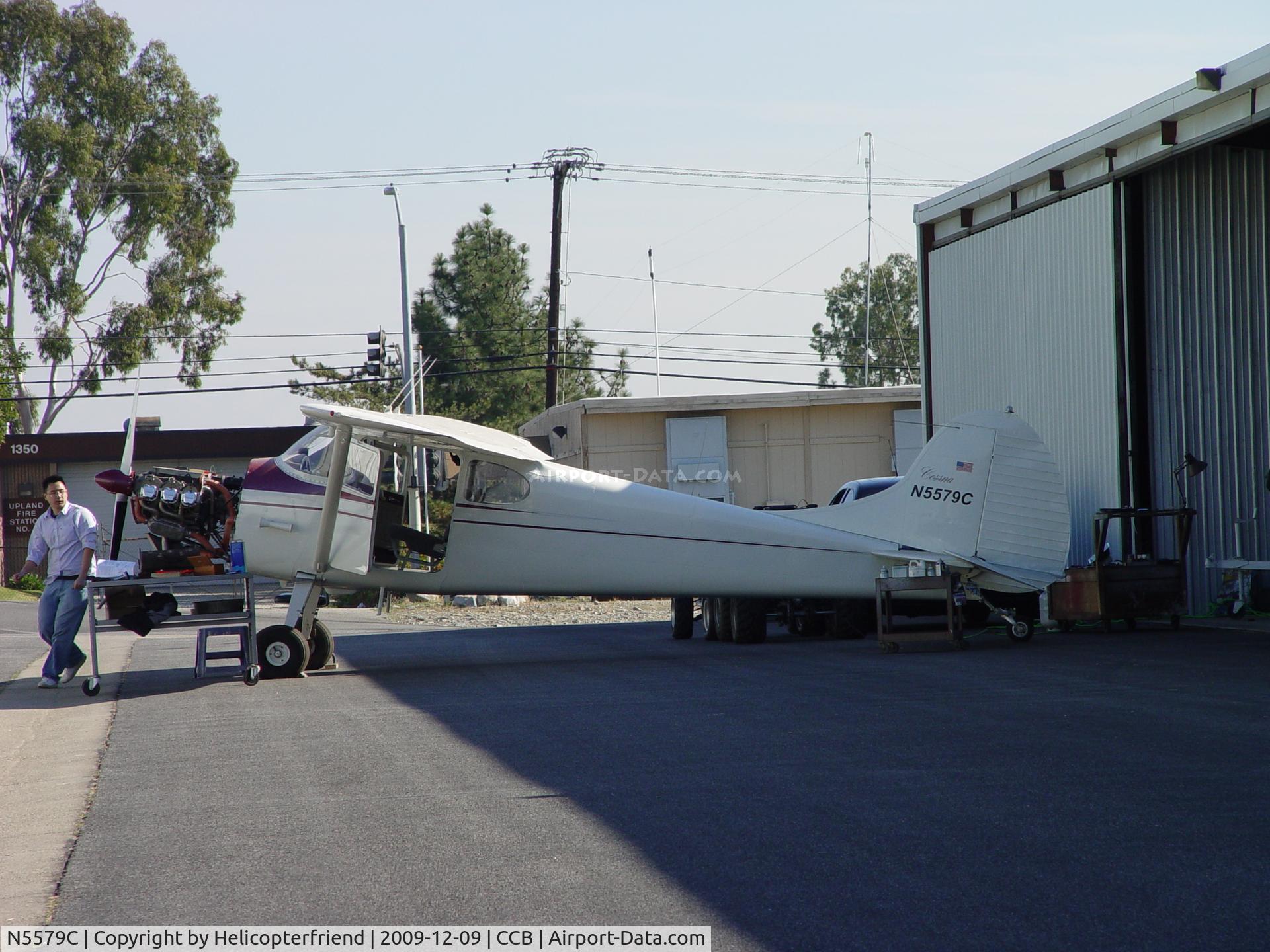 N5579C, 1950 Cessna 170A C/N 19633, Pulled out to be worked on in the sun