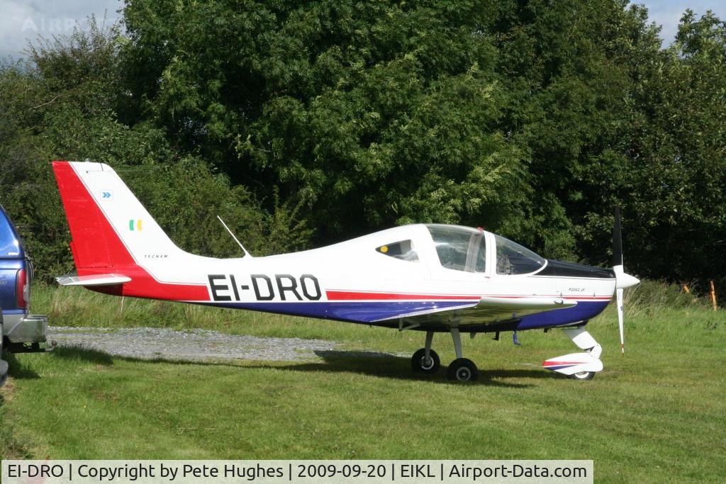 EI-DRO, Tecnam P-2002JF Sierra C/N 044, P2002 at Kilkenny Fly-In