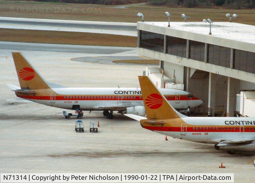 N71314, 1985 Boeing 737-3TO C/N 23365, Boeing 737-3TO of Continental Airlines at Tampa in January 1990.