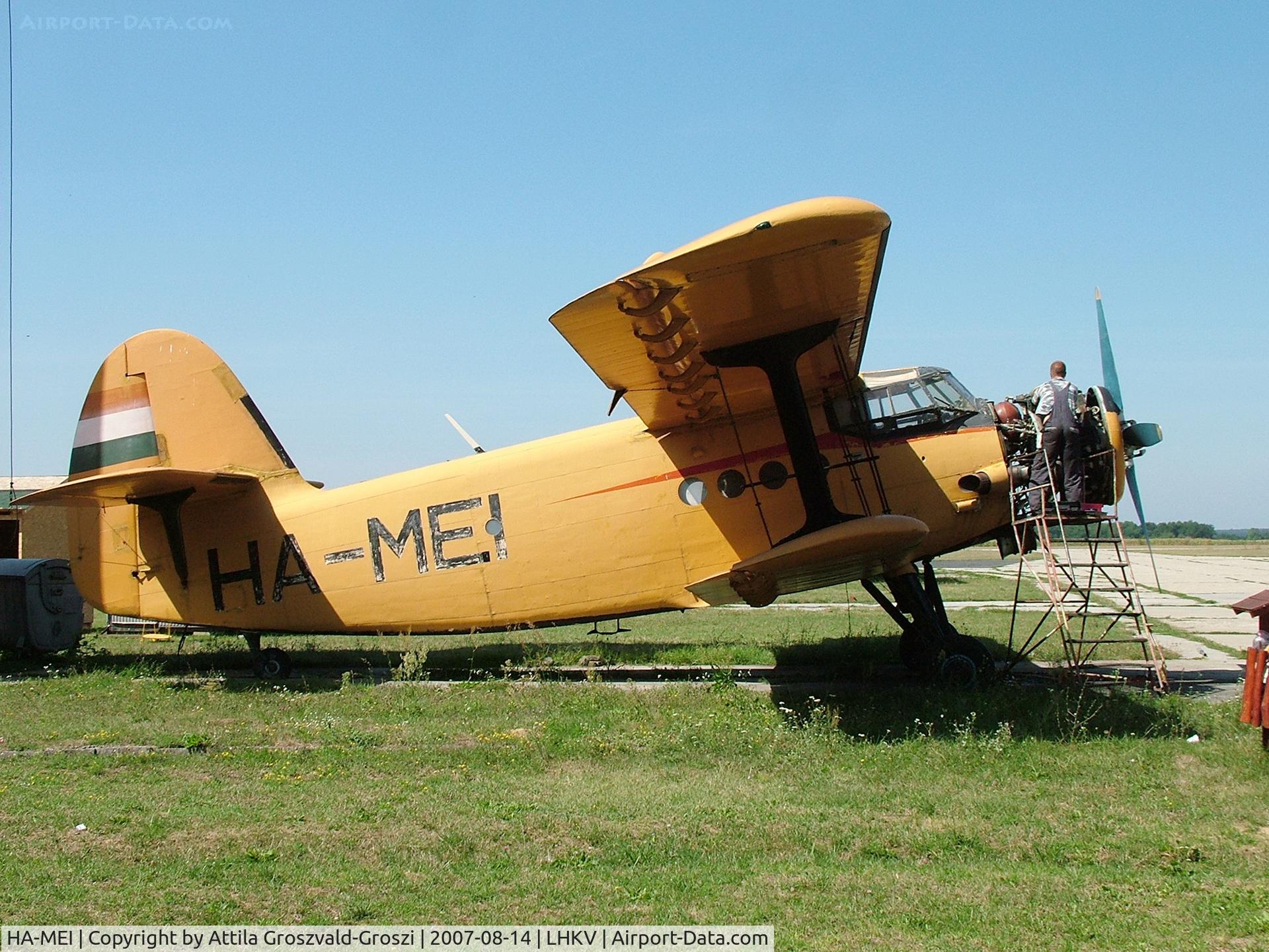 HA-MEI, 1980 PZL-Mielec AN-2R C/N 1G190-18, Kaposújlak airport, Hungary