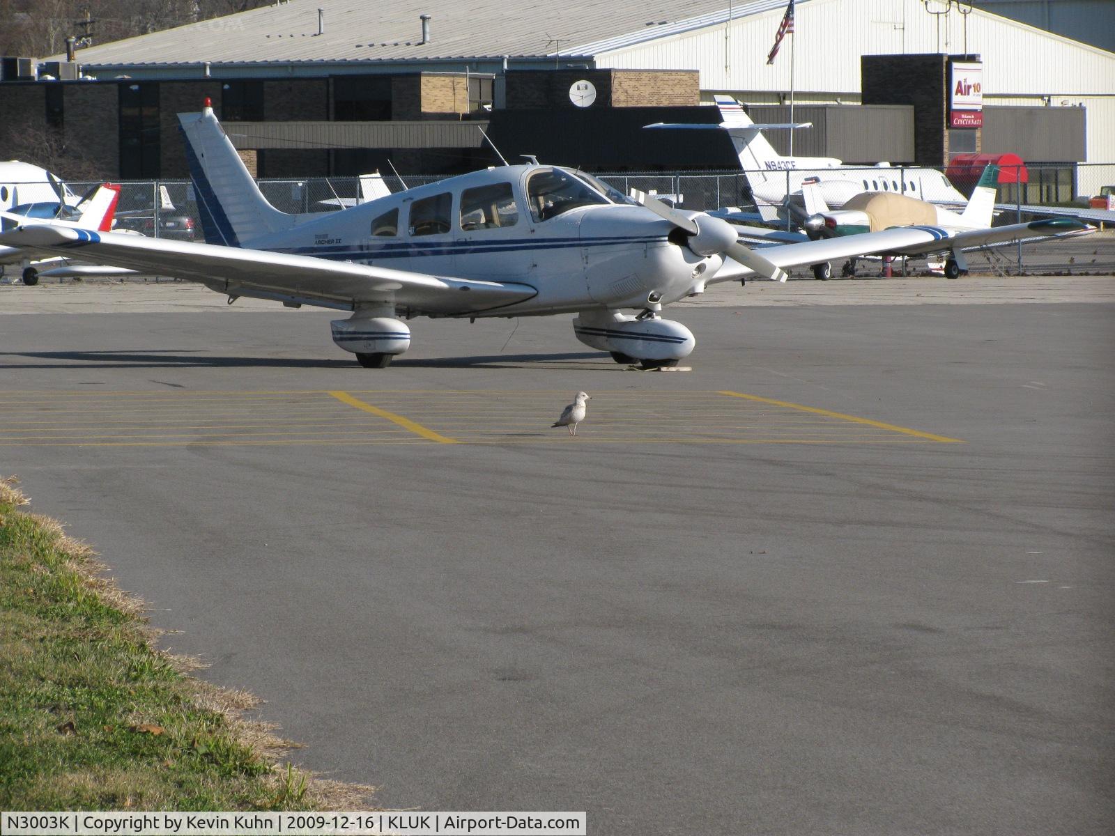 N3003K, 1978 Piper PA-28-181 C/N 28-7990243, Two birds in one. The seagull seemed to be limping a bit, the poor thing