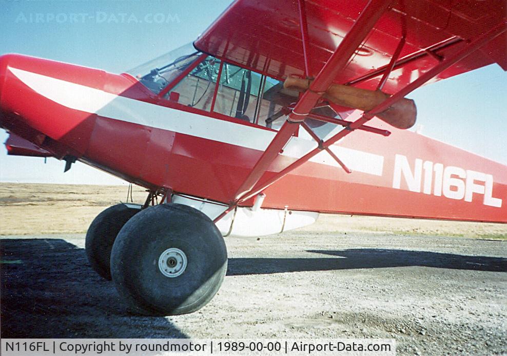 N116FL, 1974 Piper PA-18-150 Super Cub C/N 18-7509029, Cub