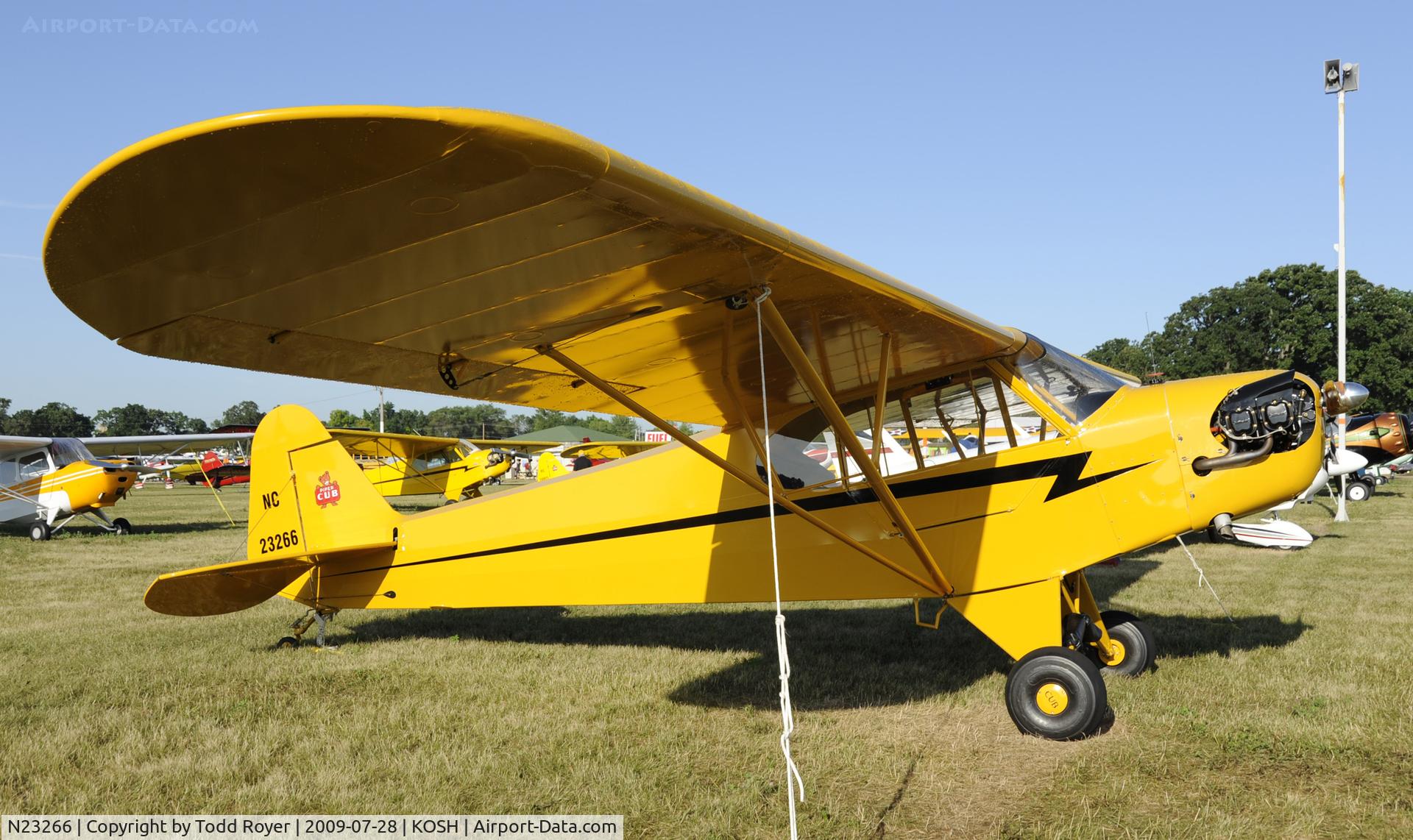 N23266, 1939 Piper J3C-65 Cub Cub C/N 3113, EAA AIRVENTURE 2009