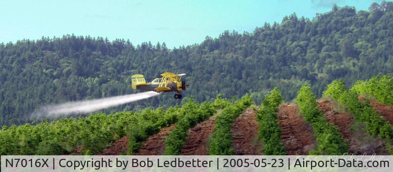 N7016X, 1979 Schweizer G-164B Ag-Cat B C/N 559B, Dusting Christmas Trees
