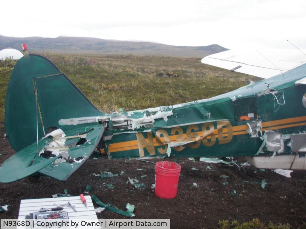 N9368D, 1958 Piper PA-18A 150 Super Cub C/N 18-6633, Piper vs Bear in Alaska