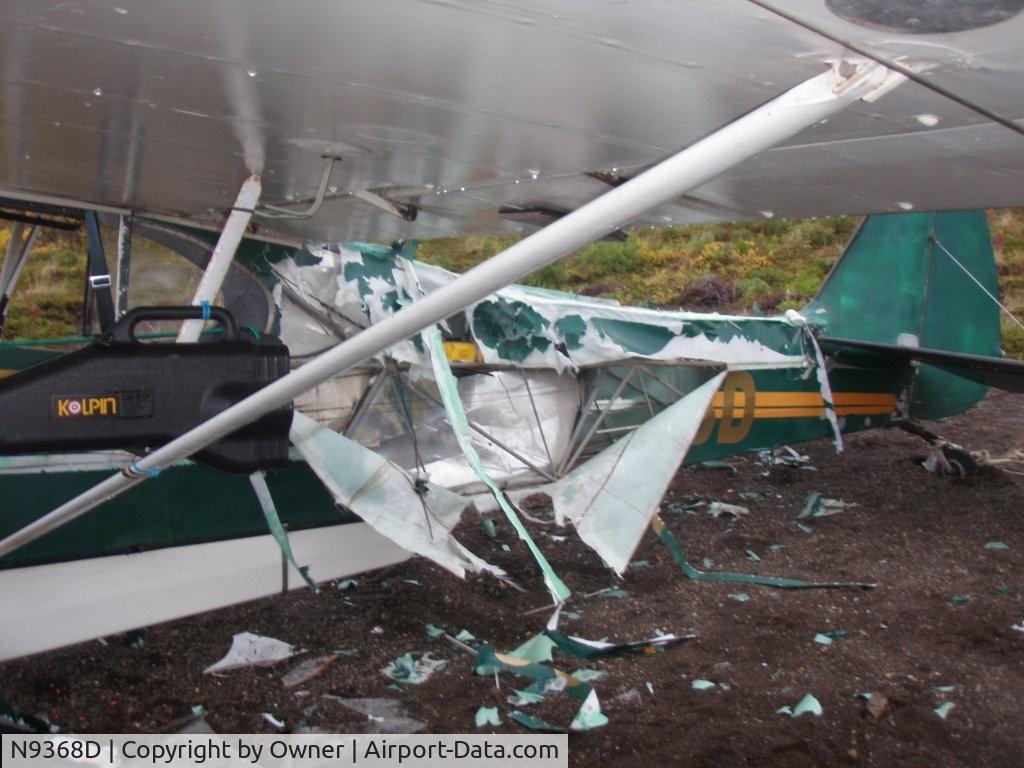 N9368D, 1958 Piper PA-18A 150 Super Cub C/N 18-6633, Piper vs Bear in Alaska