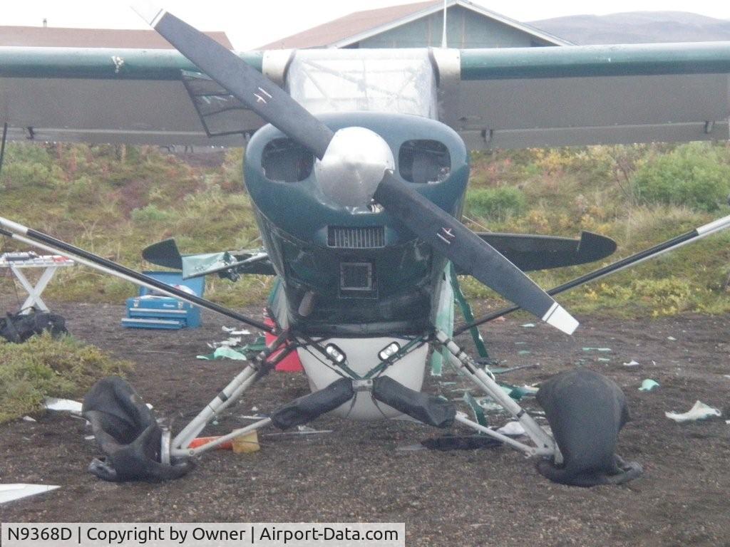 N9368D, 1958 Piper PA-18A 150 Super Cub C/N 18-6633, Piper vs Bear in Alaska