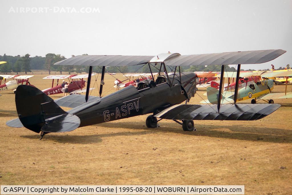 G-ASPV, 1941 De Havilland DH-82A Tiger Moth II C/N 84167, De Havilland DH82A Tiger Moth ll at Woburn Abbey in 1995.