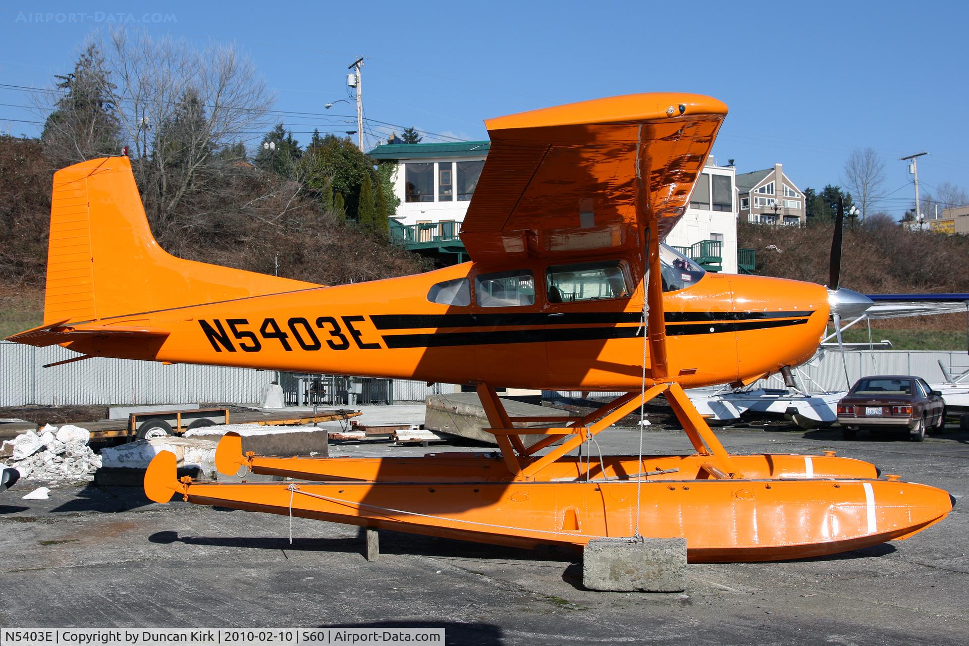 N5403E, 1980 Cessna A185F Skywagon 185 C/N 18503963, No danger of missing this plane!