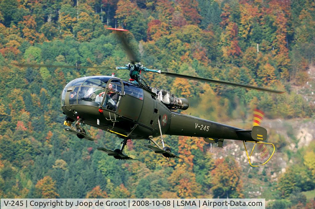 V-245, Aerospatiale SA-316B Alouette III C/N 121/1067, Autumn give some nice backdrops for photographing. These trees are on the mountain slope adjecent to Alpnach AB.