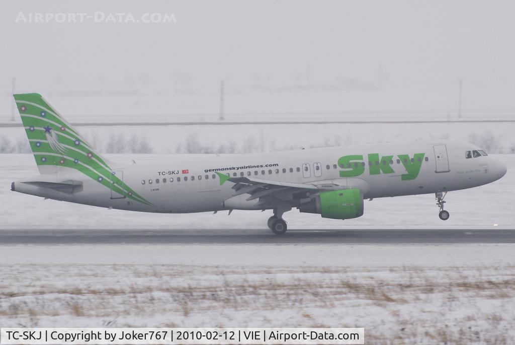 TC-SKJ, 1990 Airbus A320-211 C/N 138, Sky Airlines Airbus A320-211