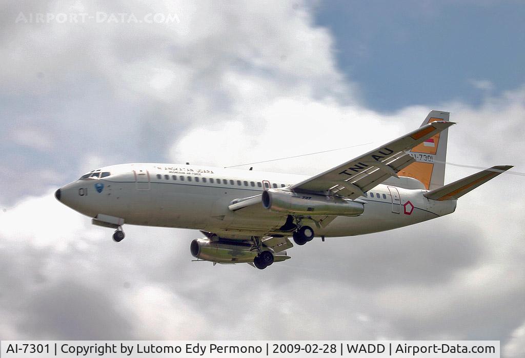 AI-7301, 1982 Boeing 737-2X9 Surveiller C/N 22777, Indonesian Airforce