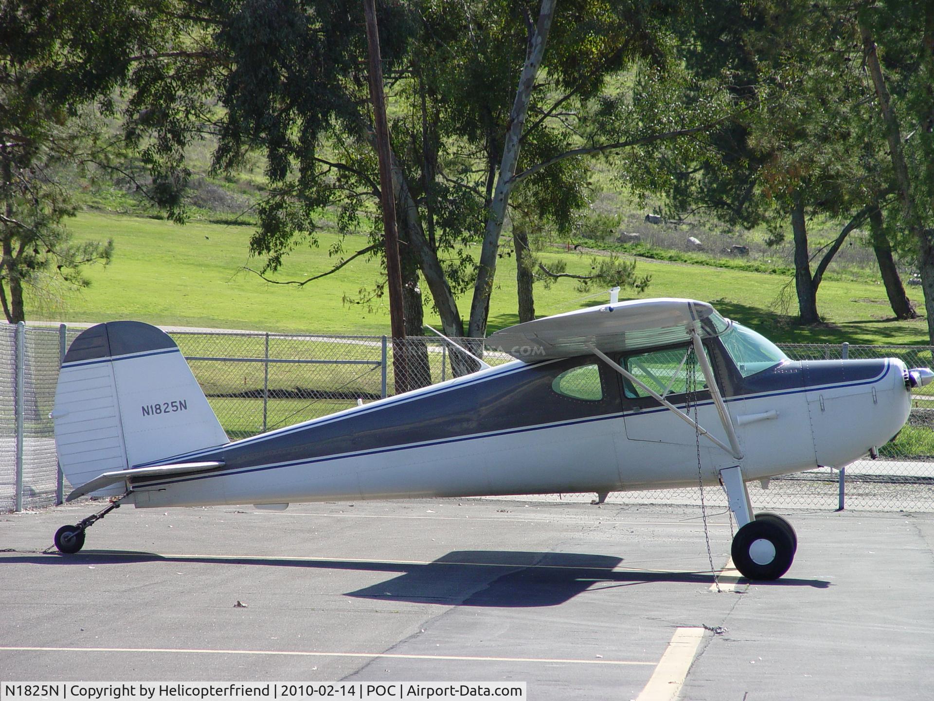 N1825N, 1946 Cessna 120 C/N 12069, Tied down and parked in transient parking