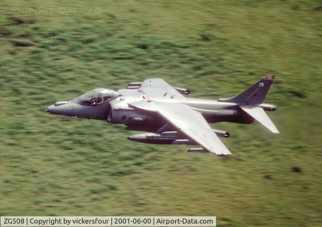 ZG508, 1991 British Aerospace Harrier GR.9 C/N P79, Royal Air Force Harrier GR7. Operated by 1 Squadron, coded '79'. Machynlleth Loop, Wales.