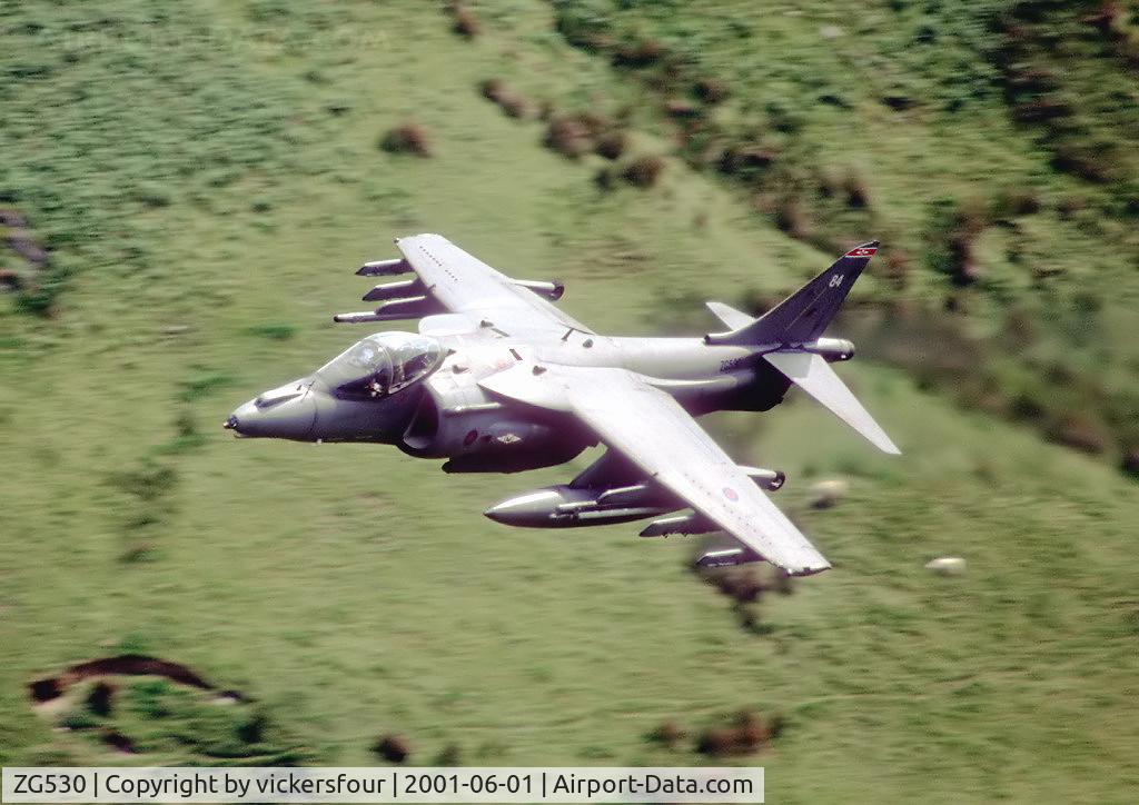 ZG530, 1991 British Aerospace Harrier GR.9 C/N P84, Royal Air Force Harrier GR7 (c/n P84). Operated by 1 Squadron, coded '84'. Machynlleth Loop, Wales.