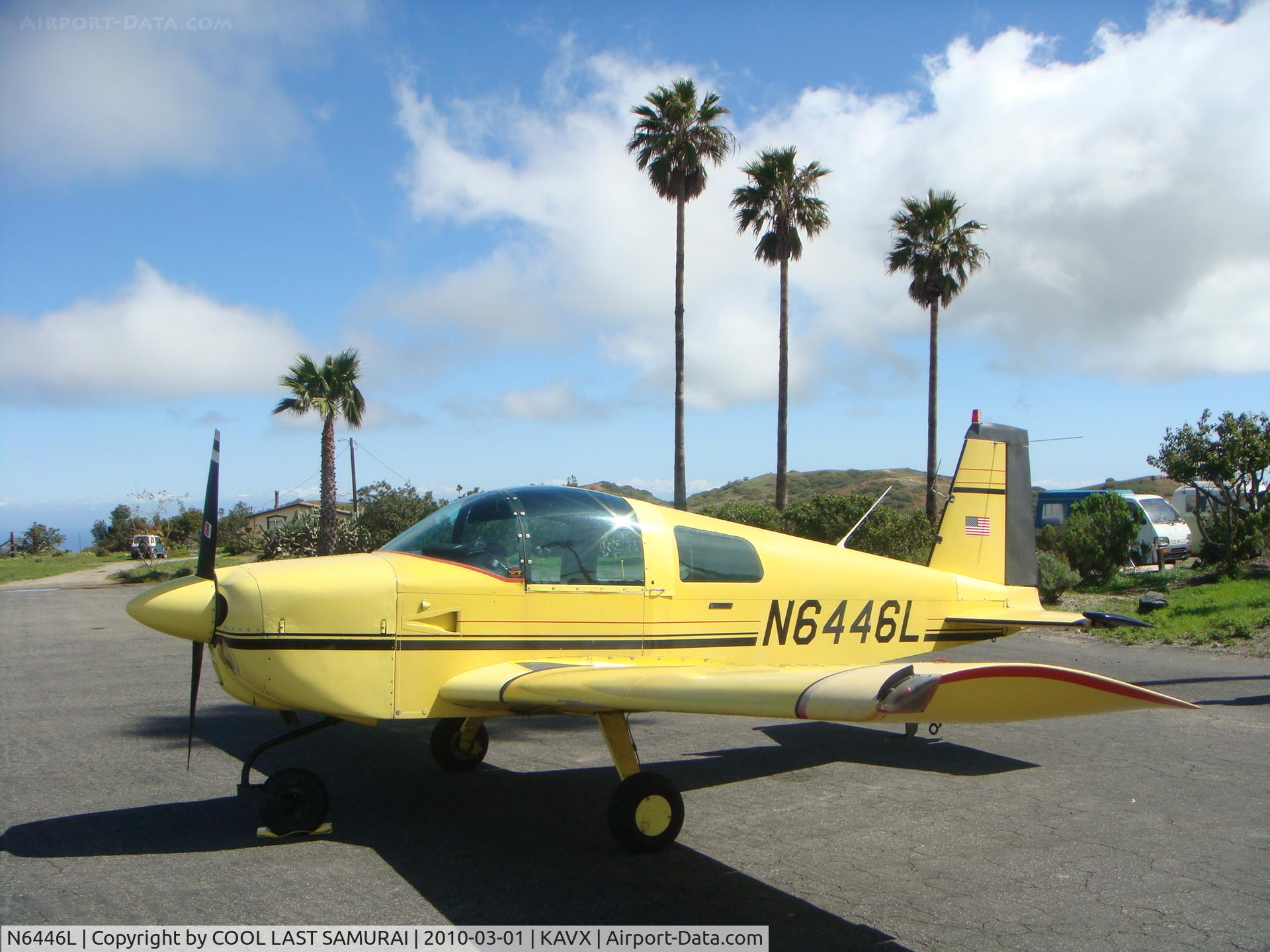 N6446L, 1972 American Aviation AA-1A Trainer C/N AA1A-0446, Avalon Catalina Airport Transient Parking (photo by Fuchieh)