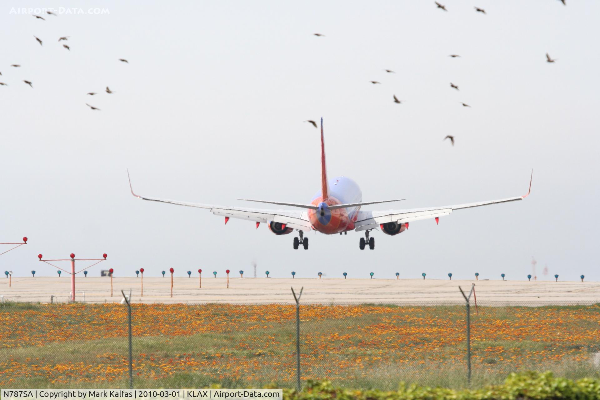 N787SA, 2000 Boeing 737-7H4 C/N 29812, Southwest Airlines Boeing 737-7H4, SWA2272 from KOAK, 24R approach KLAX.