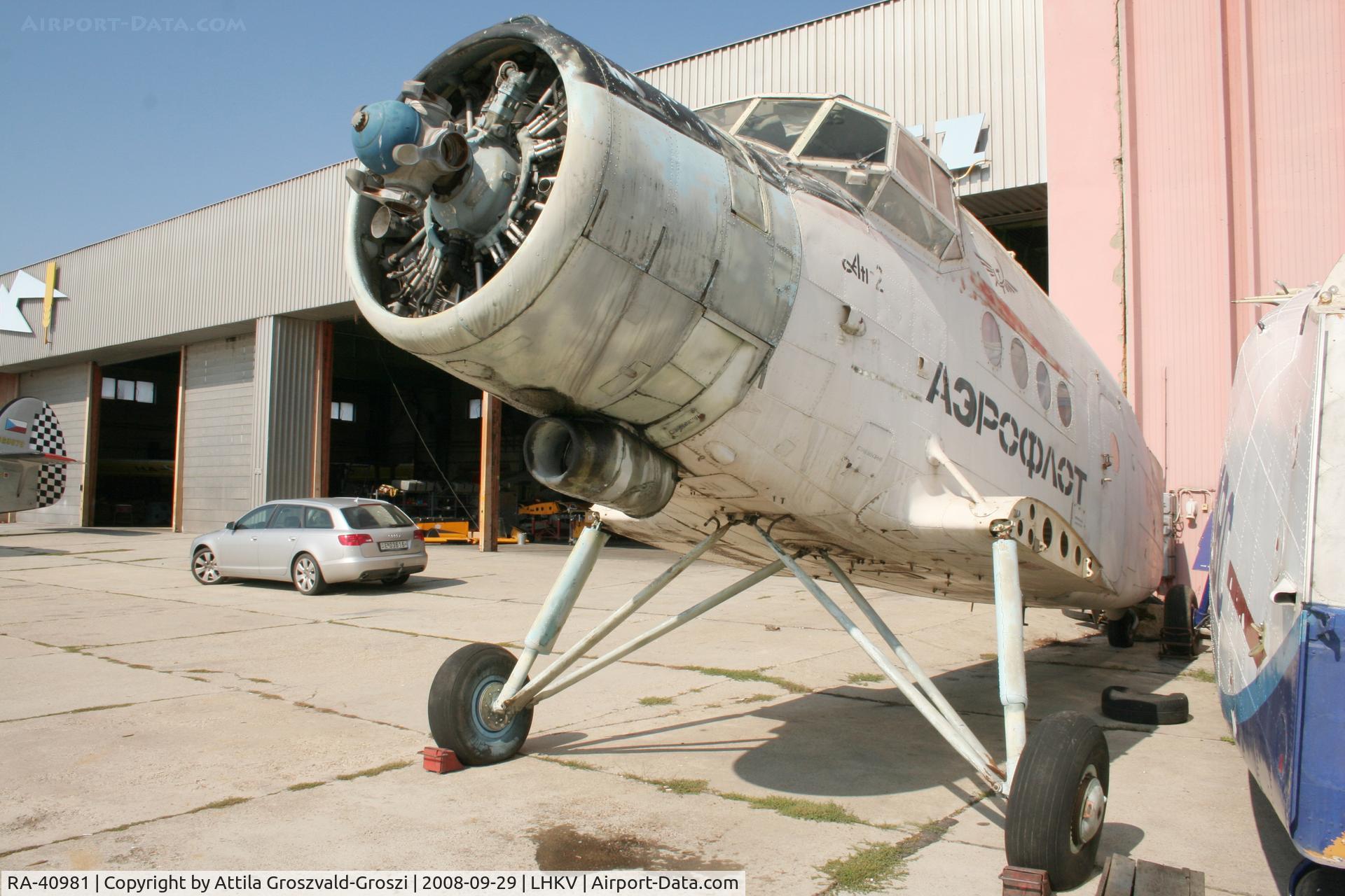 RA-40981, 1986 PZL-Mielec An-2R C/N 1G217-21, Hungary-Kaposújlak airport.