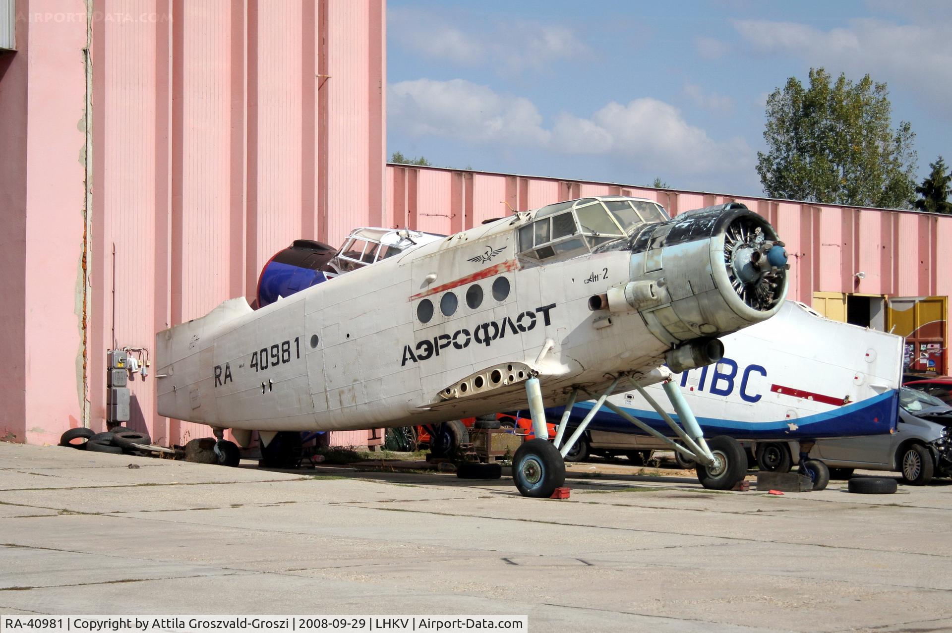 RA-40981, 1986 PZL-Mielec An-2R C/N 1G217-21, Hungary-Kaposújlak airport.